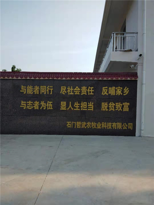 公司环境