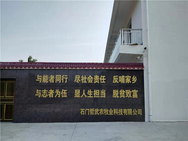 公司环境