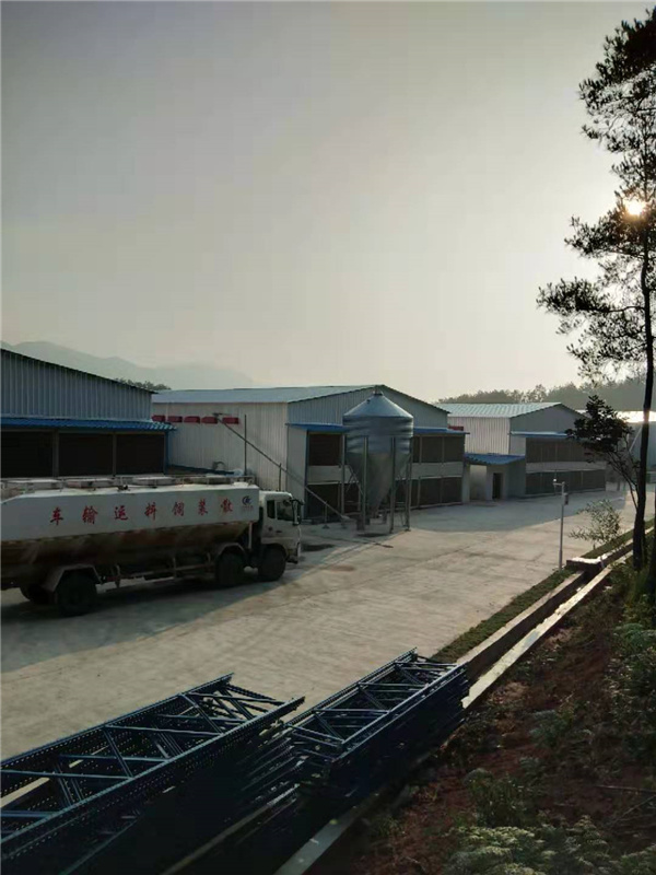 公司环境