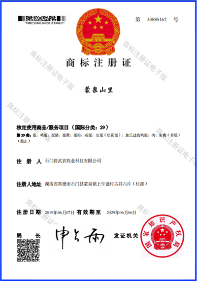 资质荣誉